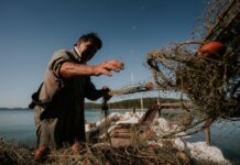 “Od vizije do promjene: prema 2030.” U Zadar stižu stručnjaci iz cijelog svijeta!