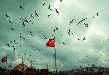 STIŽE NOVA TURSKA SERIJA Nakon dvadeset godina lažnog života, kreće u potragu za istinom